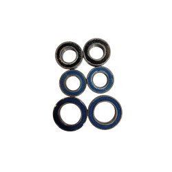 Kit roulements pivots Scalpel - SE 2021 K91041/Doc Cannondale
