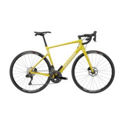 Synapse Carbon (2022-2024)